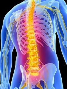 Pin on Back Pain Treatment in NYC